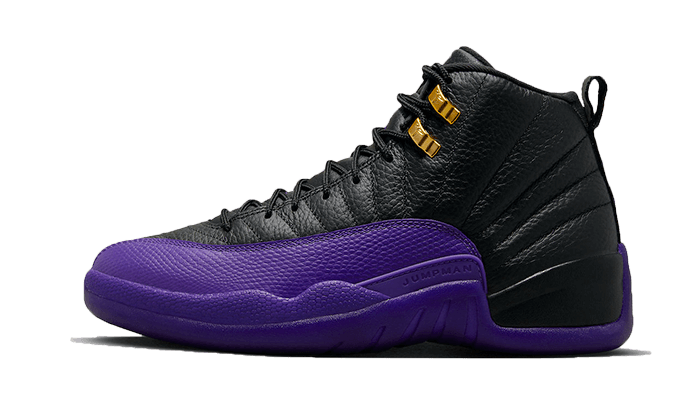 air-jordan-12-field-purple-45a6e4