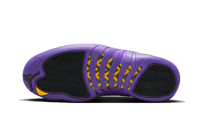 air-jordan-12-field-purple-45a6e4