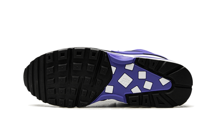 Nike Air Max BW Persian Violet - DJ6124-001
