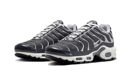 Nike Air Max Plus SE Greyscale Cool Grey - DZ2655-001