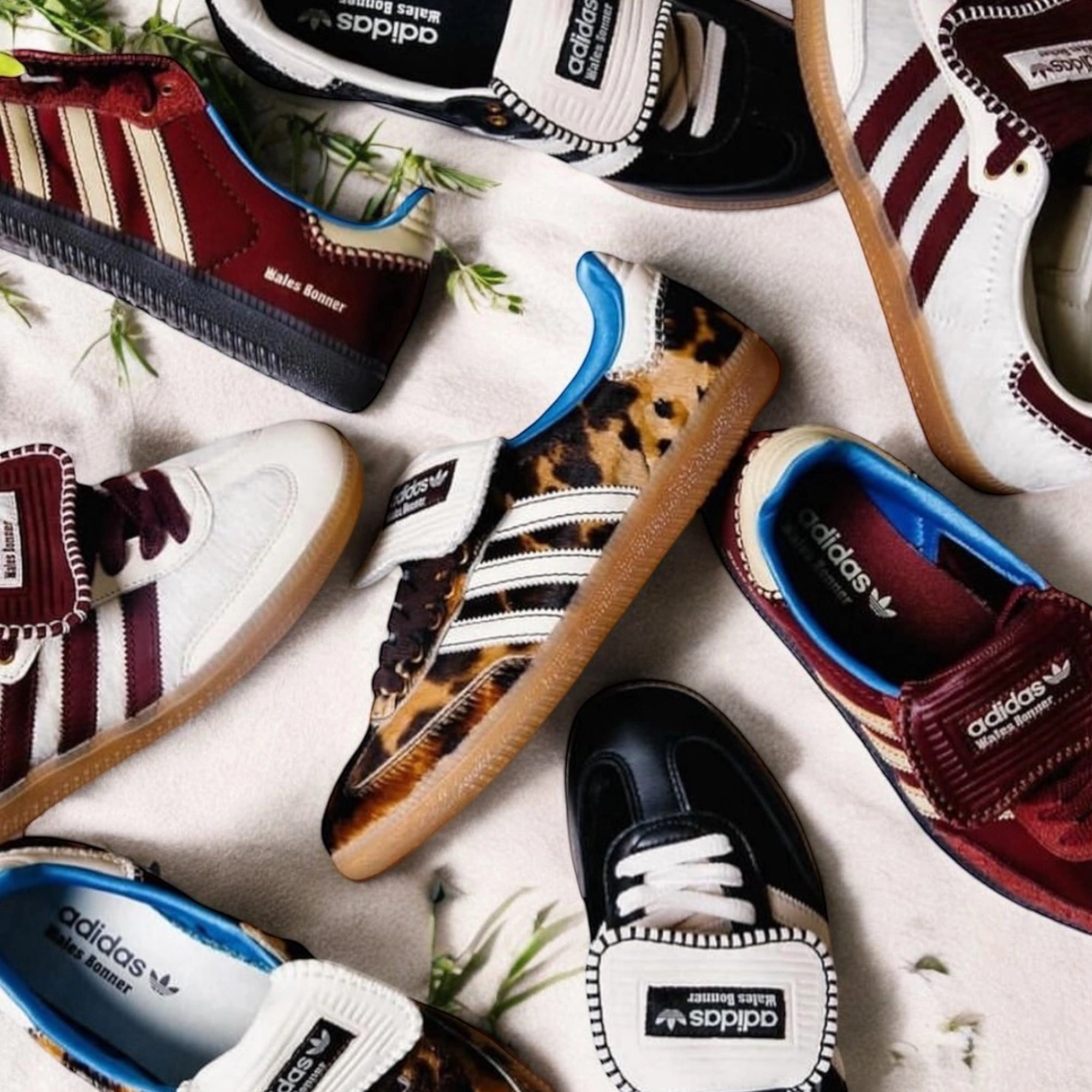 Collezione Adidas | Sneakers per Uomo e Donna in Edizione Limitata | Mush Kicks