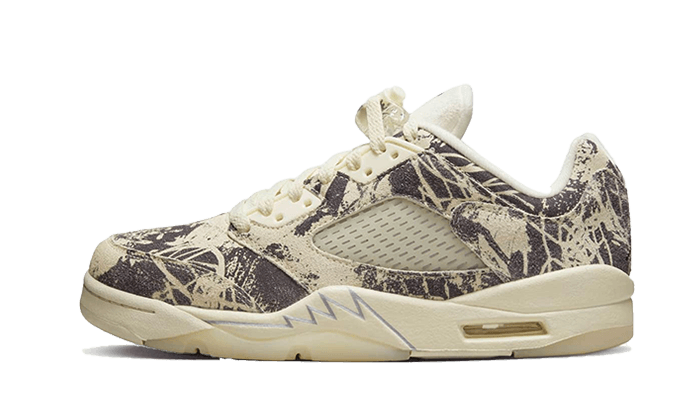 air-jordan-5-low-expression-45a6e4