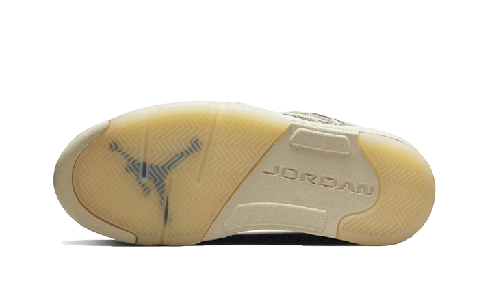 air-jordan-5-low-expression-45a6e4