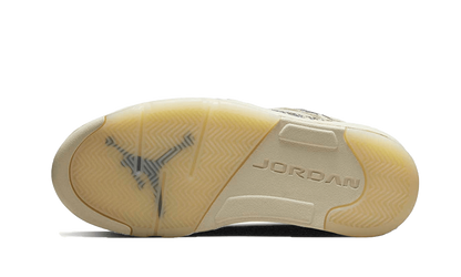 air-jordan-5-low-expression-45a6e4