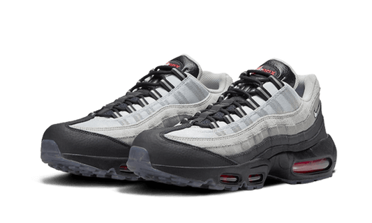 Nike Air Max 95 PRM Fish Scales - DQ3979-001