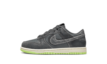 Nike Dunk Low Swoosh Shadow Iron Grey Enfant (PS) - DQ6216-001