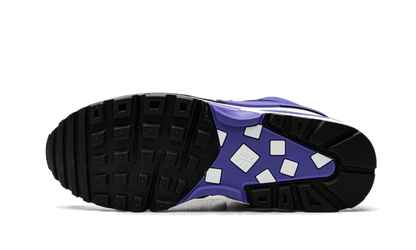 Nike Air Max BW Persian Violet - DJ6124-001