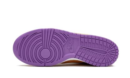 Nike Dunk Low Viotech - CT5050-500