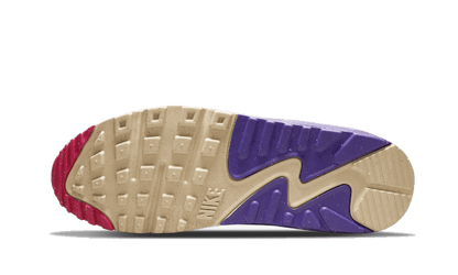 Nike Air Max 90 Air Sprung - DM8171-200