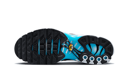Nike Air Max Plus Baltic Blue - FD9751-100
