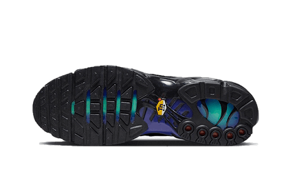 Nike Air Max Plus Black Blue Red - DZ4509-001