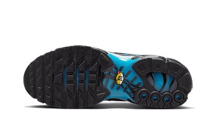 Nike Air Max Plus Blue Gradient - FQ0204-010