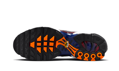 Nike Air Max Plus Patta FC Barcelona - FN8260-001