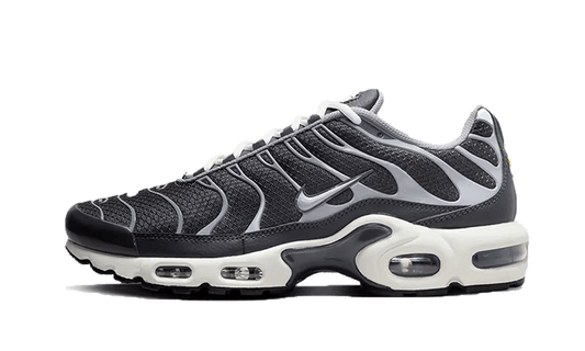 Nike Air Max Plus SE Greyscale Cool Grey - DZ2655-001
