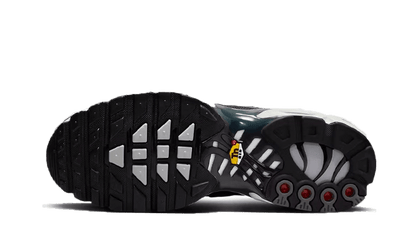 Nike Air Max Plus SE Greyscale Cool Grey - DZ2655-001