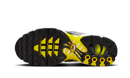 Nike Air Max Plus Violet Dust - FN8007-500