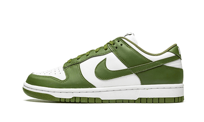 Nike Dunk Low Medium Olive - DD1503-120