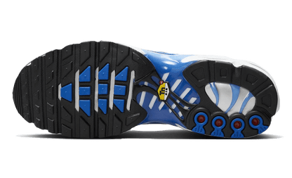 Nike Air Max Plus Light Photography Old Royal - DZ3531-400